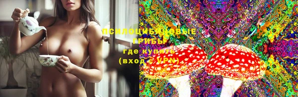 спайс Алзамай