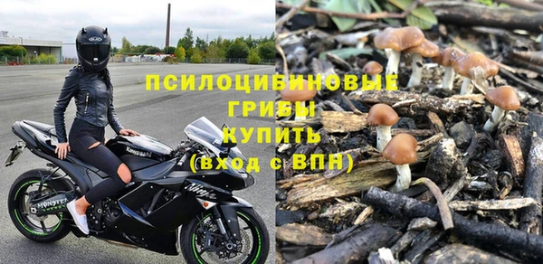 спайс Алзамай