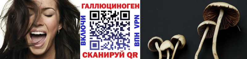Галлюциногенные грибы мухоморы Энгельс